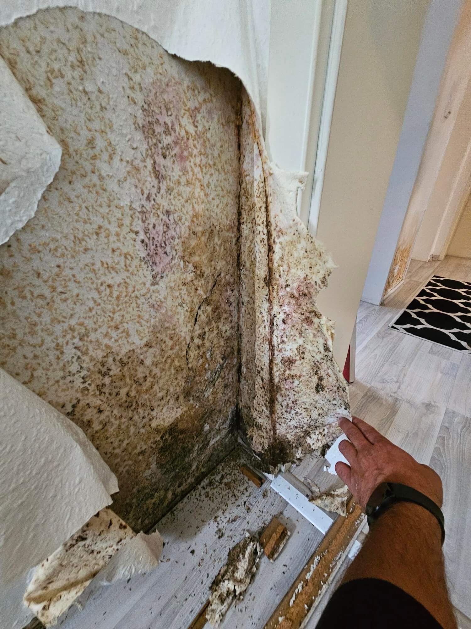 Descriptive text for your image